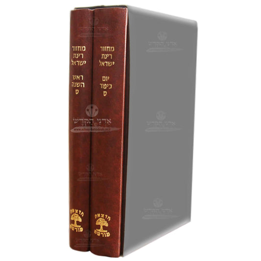 "Rinat Yisrael" Machzor Set - 2 Large Volumes - Brown - Nusach Sefard